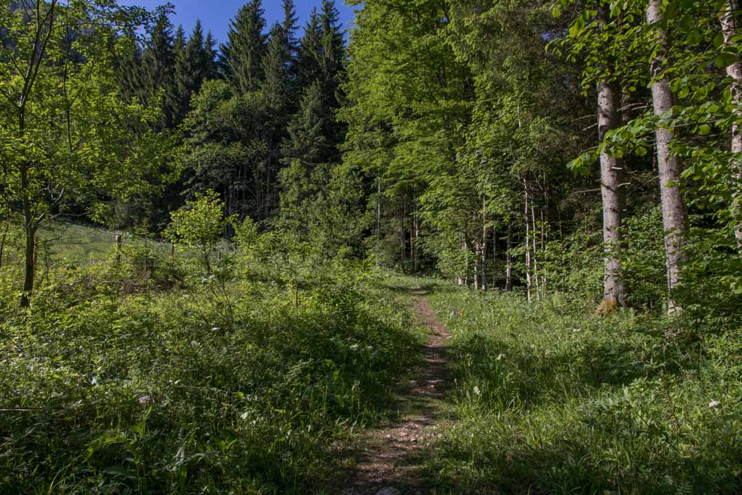 Bergwerkskogel - Rettenkogel