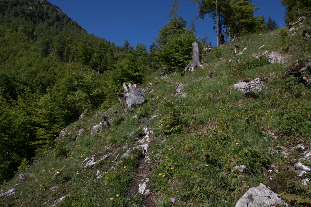 Bergwerkskogel - Rettenkogel