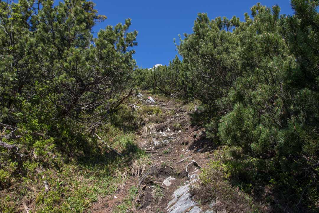 Bergwerkskogel - Rettenkogel