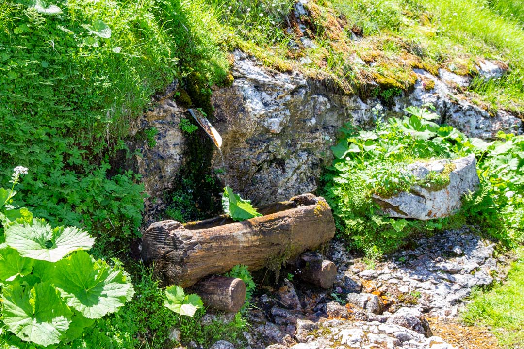 Hoher Ochsenkogel - Niederes Kreuz