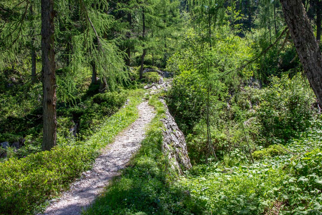 Hoher Ochsenkogel - Niederes Kreuz