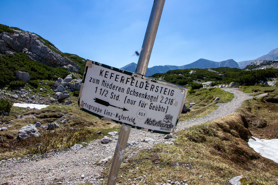 Hoher Ochsenkogel - Niederes Kreuz