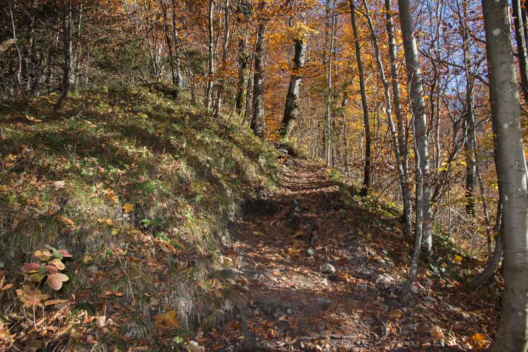 Wanderung auf den Erlalogel