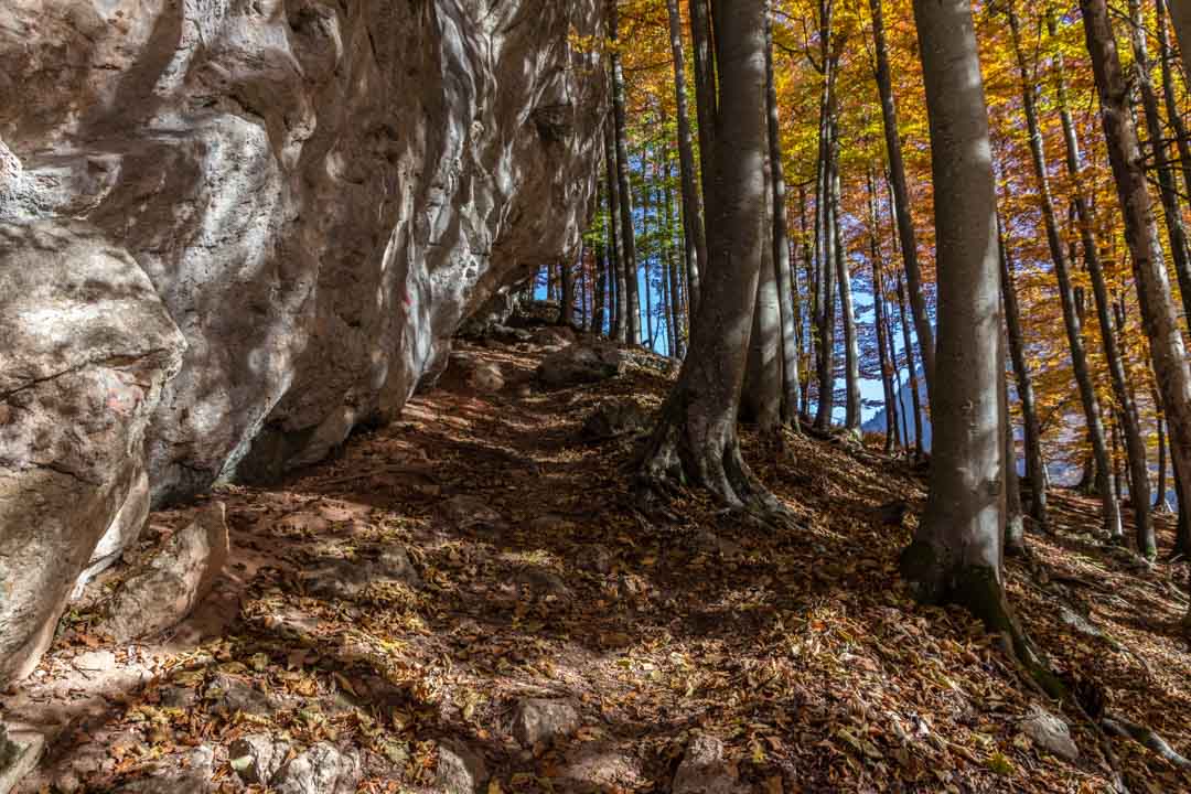 Wanderung auf den Erlalogel