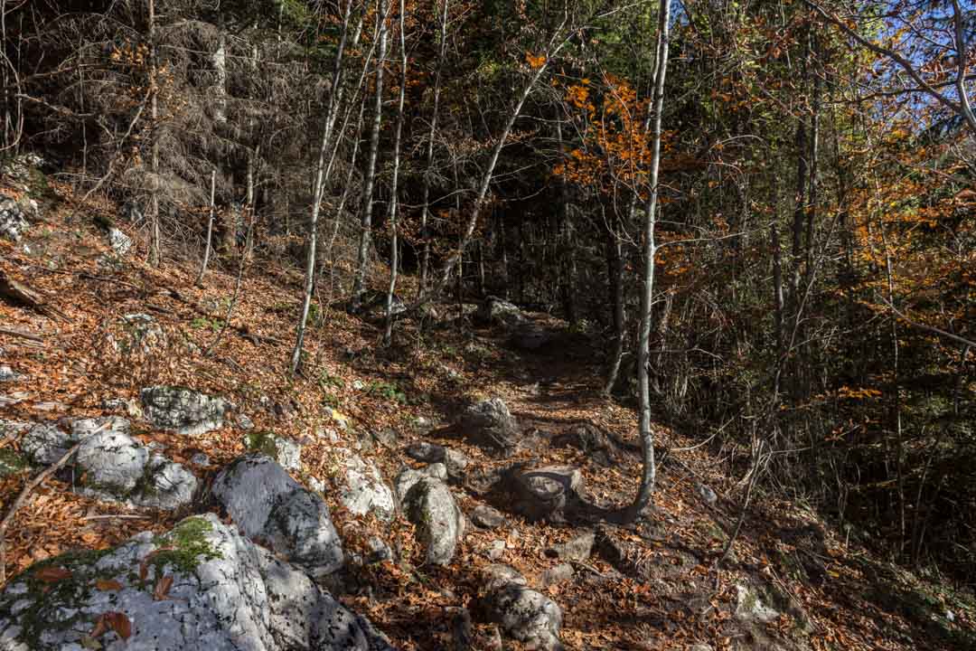 Wanderung auf den Erlalogel