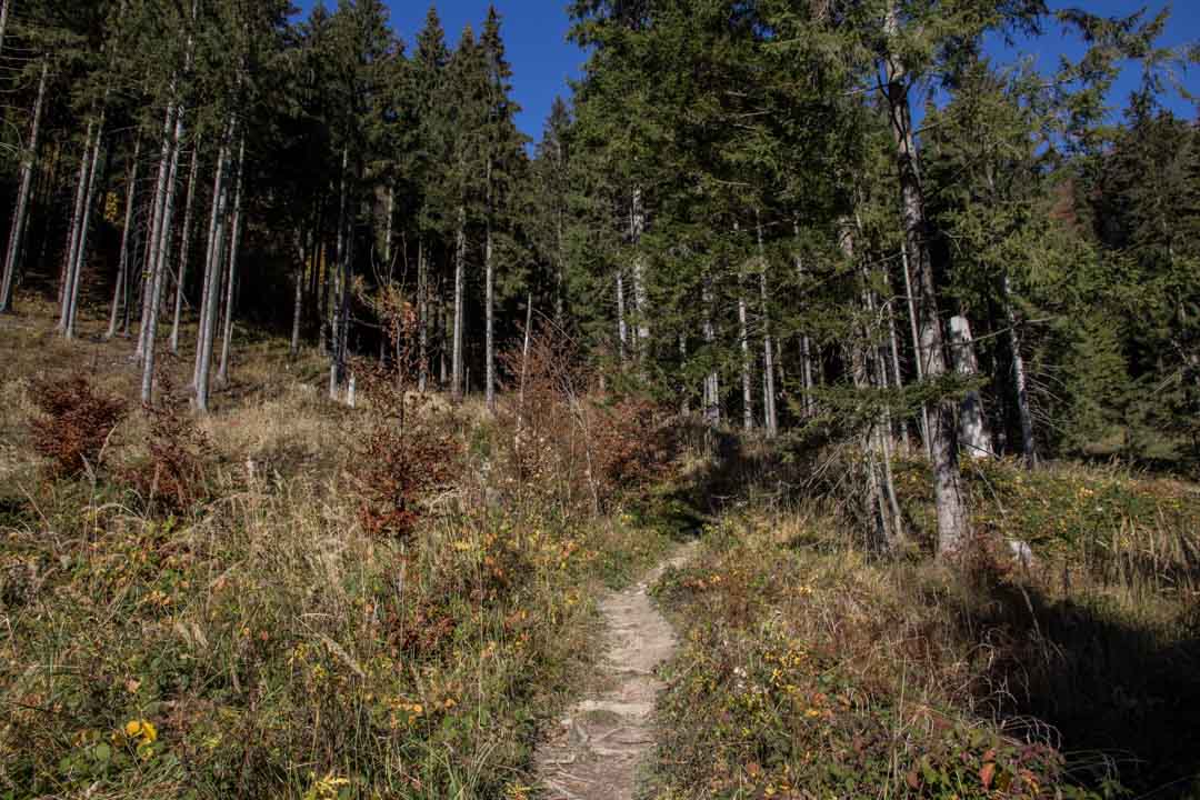 Wanderung auf den Erlalogel