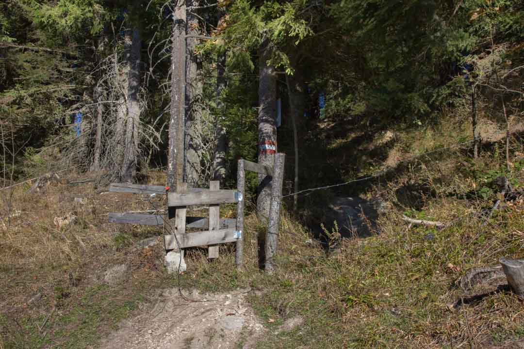 Wanderung auf den Erlalogel