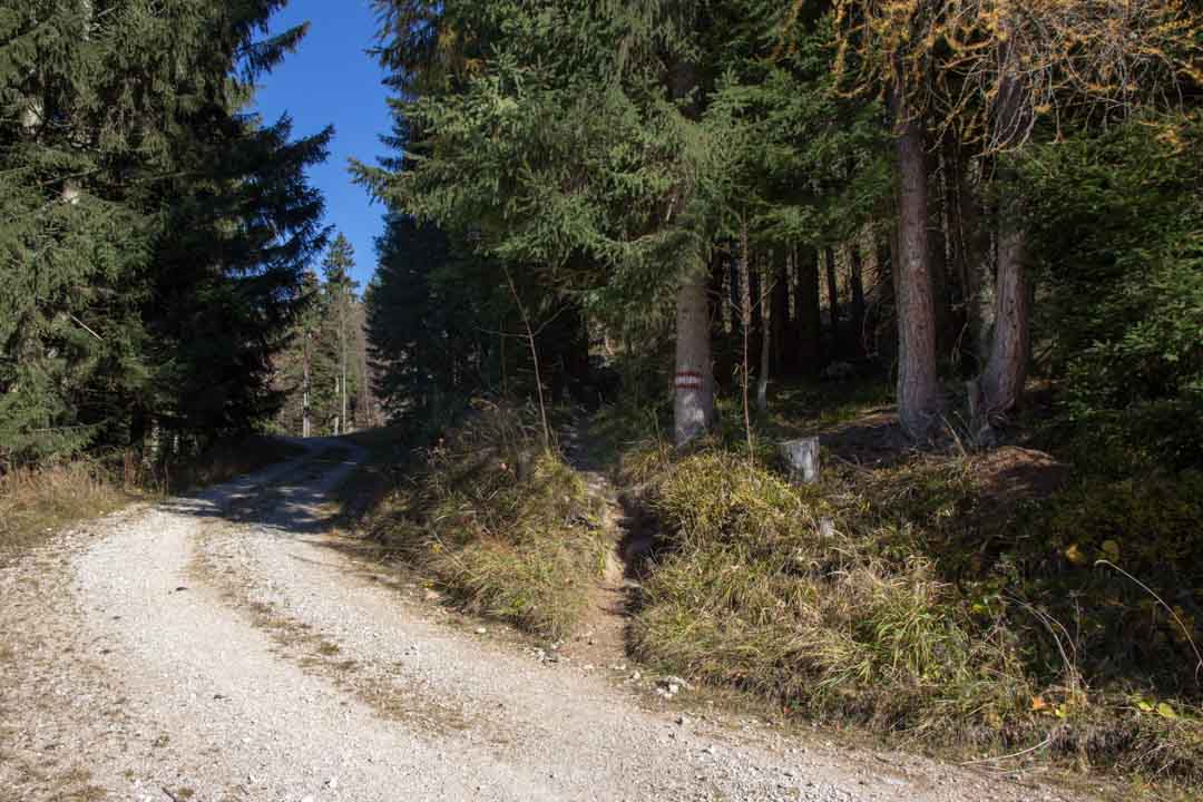 Wanderung auf den Erlalogel