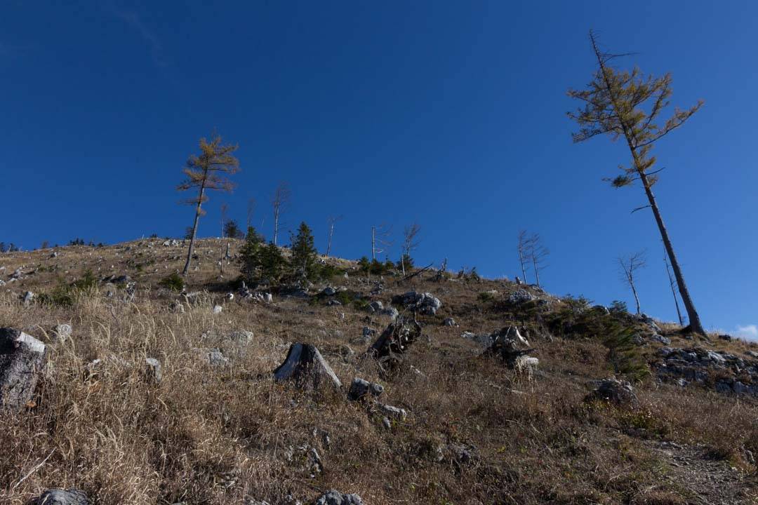 Wanderung auf den Erlalogel