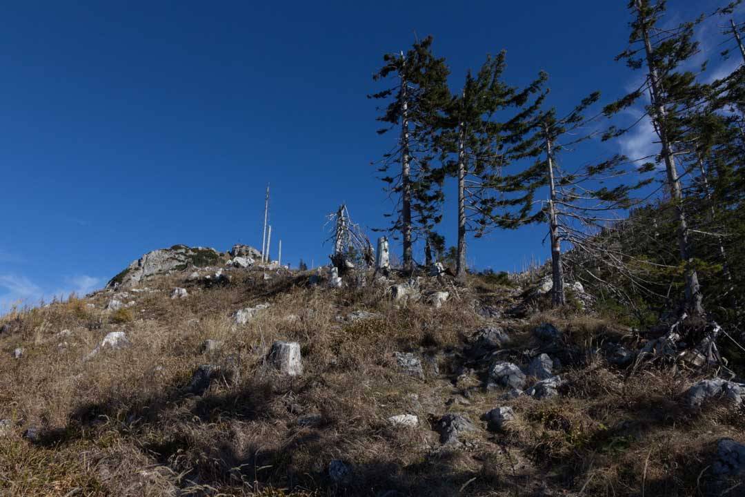 Wanderung auf den Erlalogel