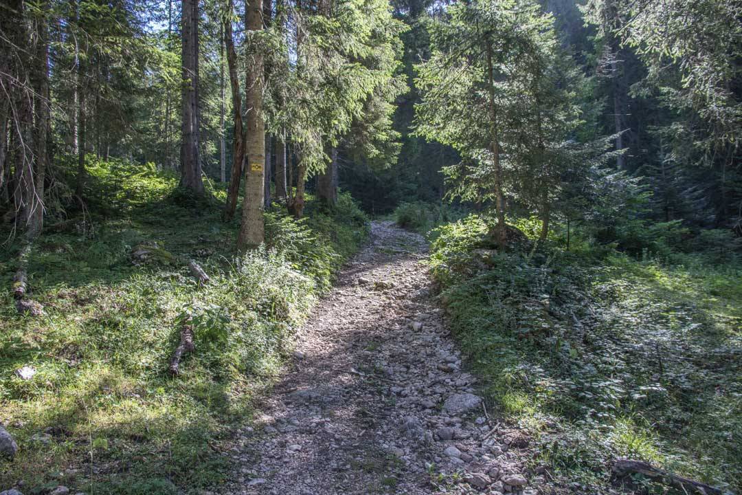 Wanderung auf das Gamsfeld