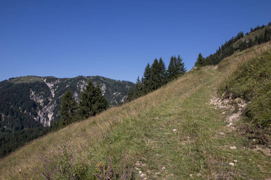 Wanderung auf das Gamsfeld