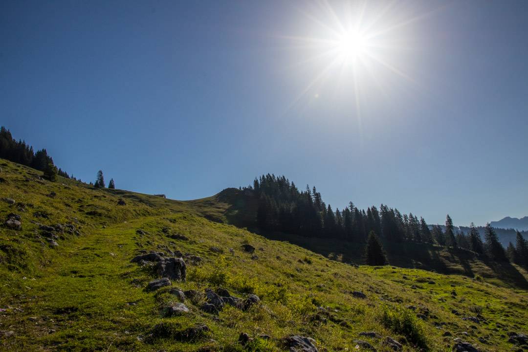 Wanderung auf das Gamsfeld