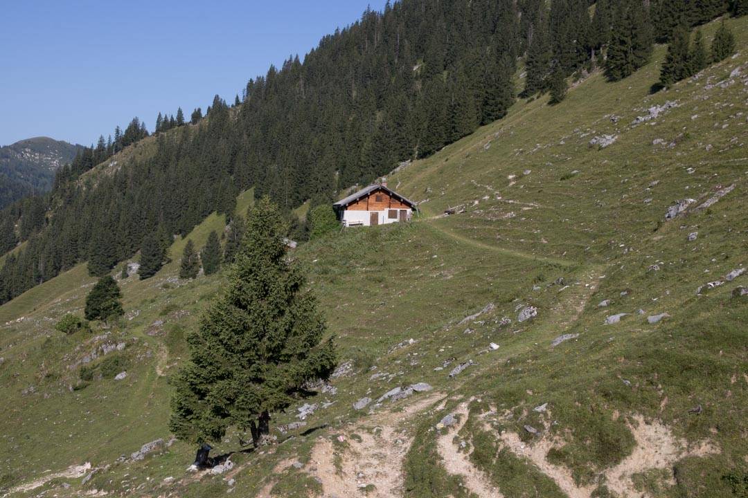 Wanderung auf das Gamsfeld