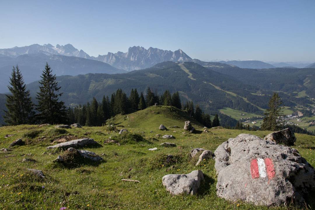 Wanderung auf das Gamsfeld