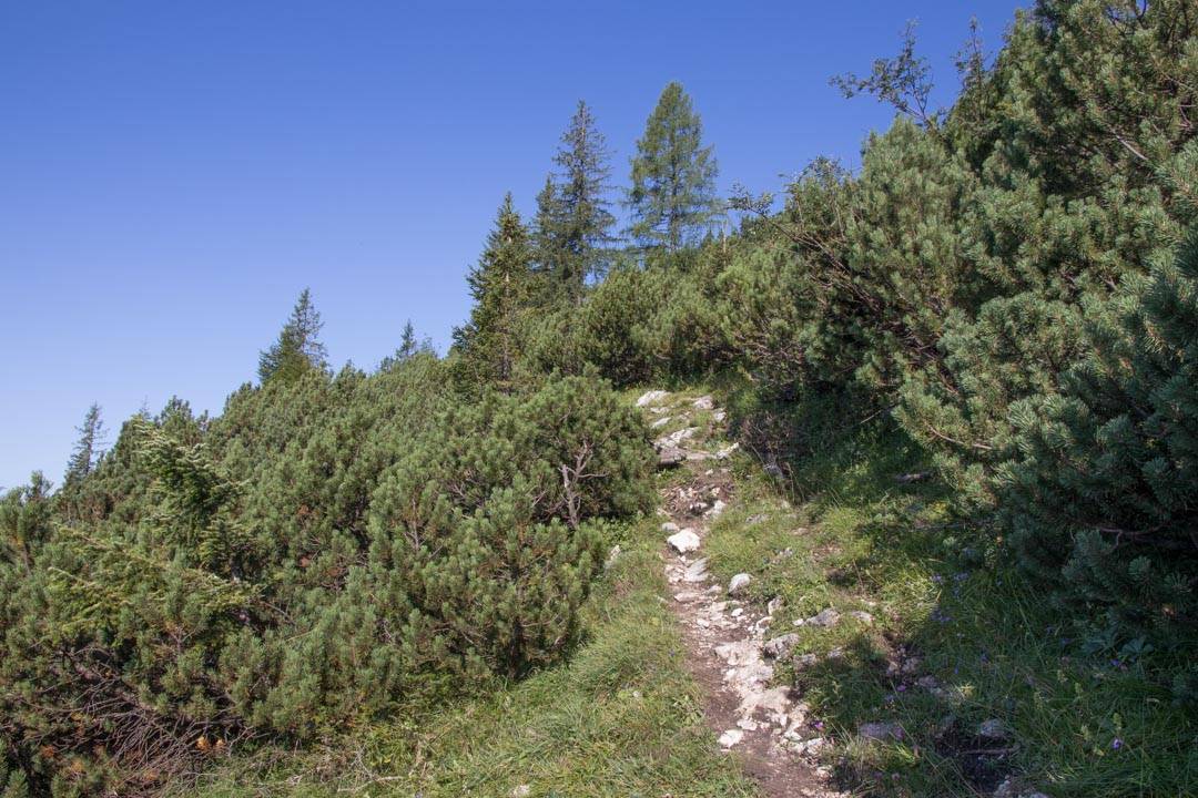 Wanderung auf das Gamsfeld