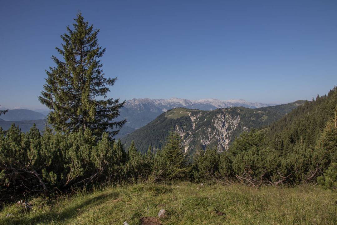 Wanderung auf das Gamsfeld