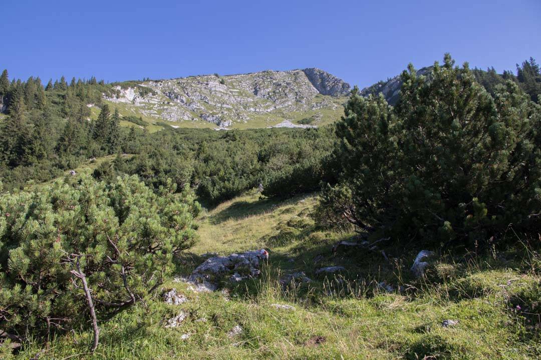 Wanderung auf das Gamsfeld