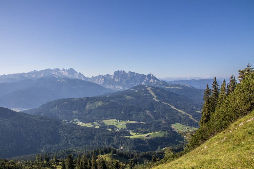 Wanderung auf das Gamsfeld