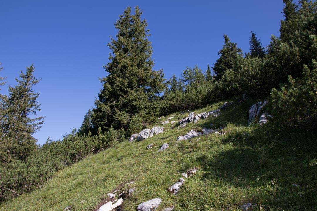 Wanderung auf das Gamsfeld