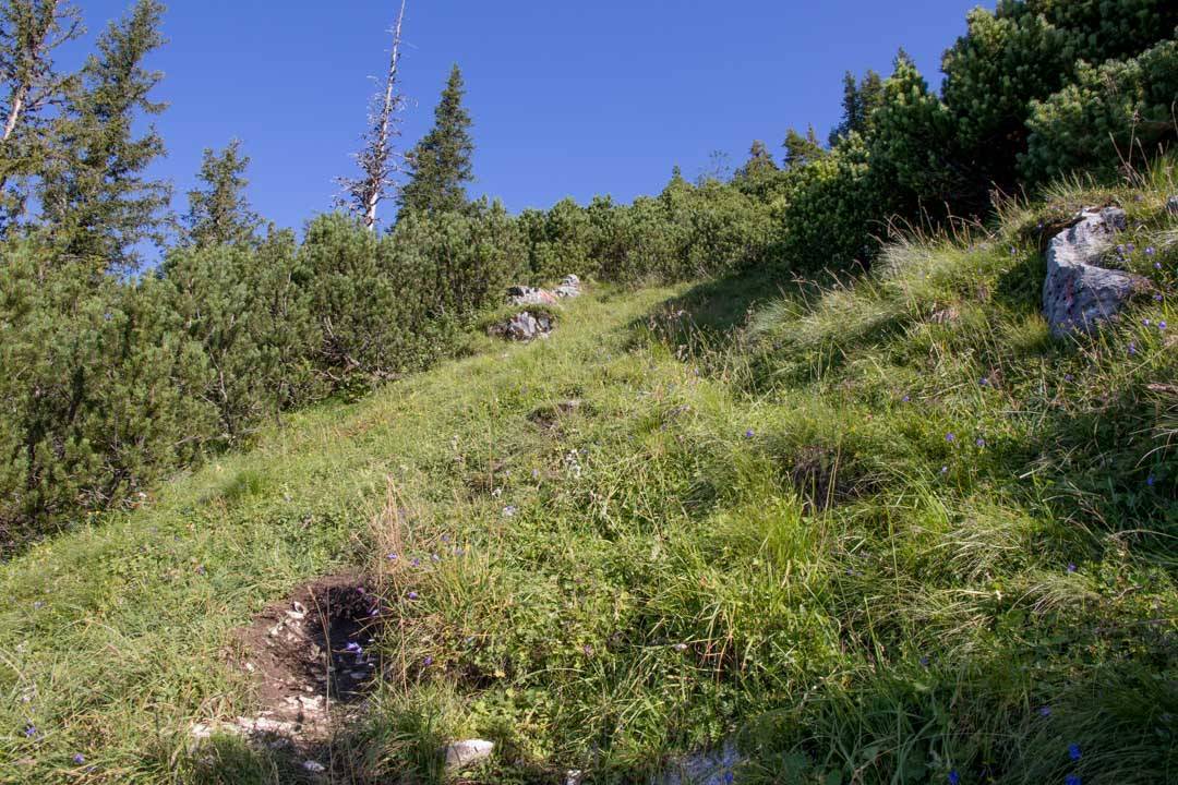 Wanderung auf das Gamsfeld