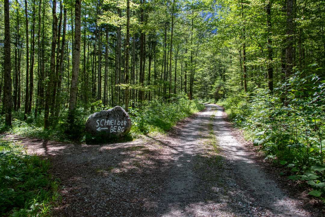 Grieskarsteig - Zwölferkogel