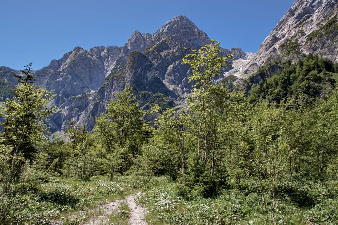 Grieskarsteig - Zwölferkogel