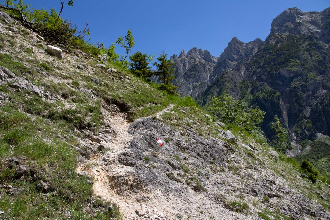 Grieskarsteig - Zwölferkogel