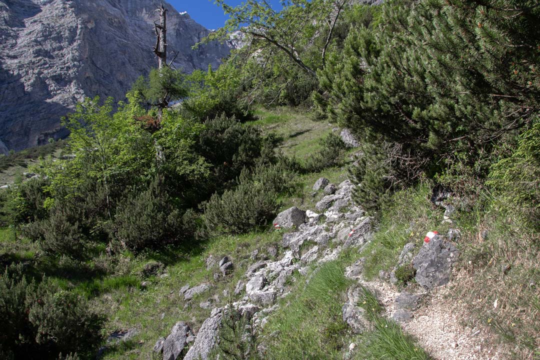 Grieskarsteig - Zwölferkogel
