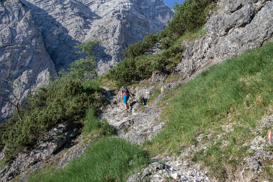 Grieskarsteig - Zwölferkogel