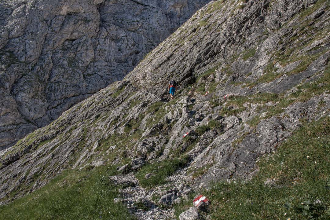 Grieskarsteig - Zwölferkogel