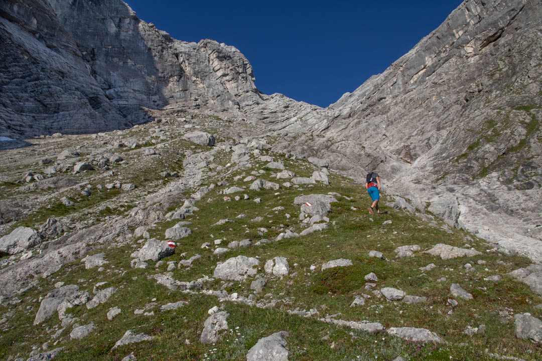 Grieskarsteig - Zwölferkogel