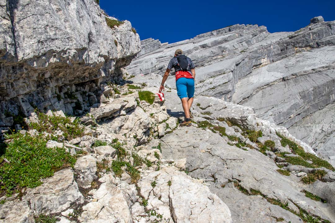 Grieskarsteig - Zwölferkogel