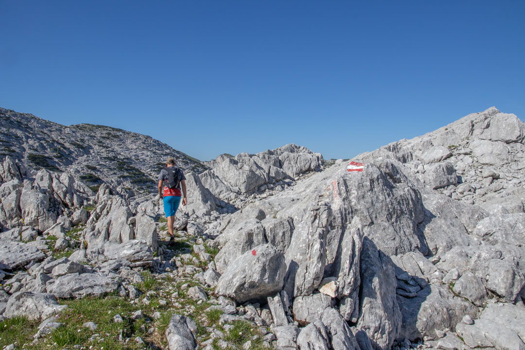 Grieskarsteig - Zwölferkogel