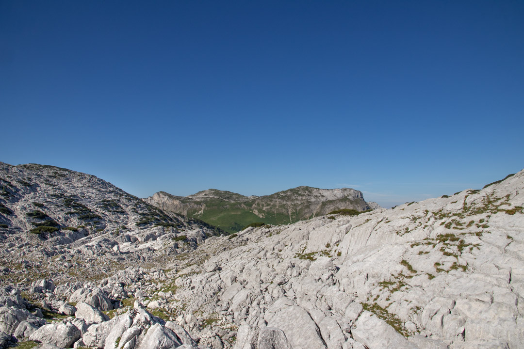 Grieskarsteig - Zwölferkogel