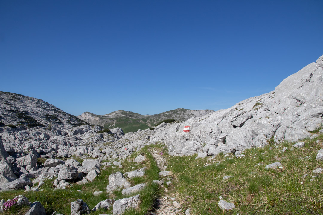 Grieskarsteig - Zwölferkogel