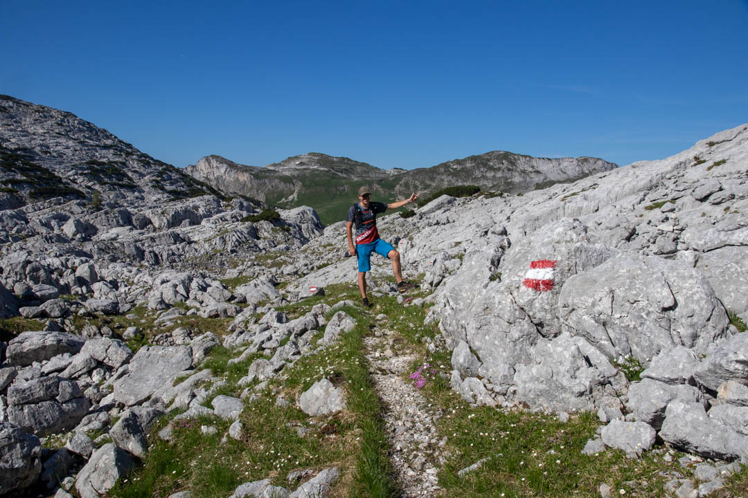 Grieskarsteig - Zwölferkogel