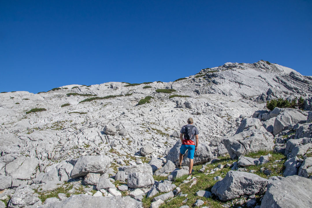 Grieskarsteig - Zwölferkogel