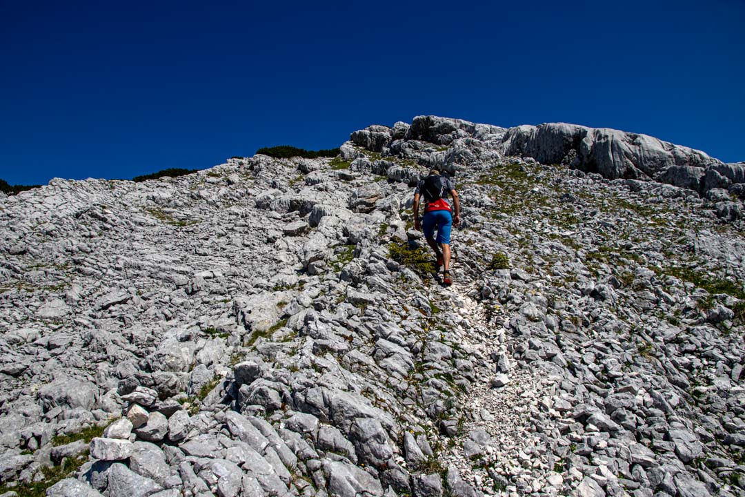 Grieskarsteig - Zwölferkogel