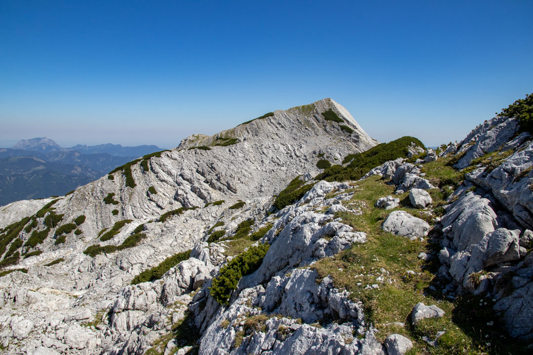 Grieskarsteig - Zwölferkogel