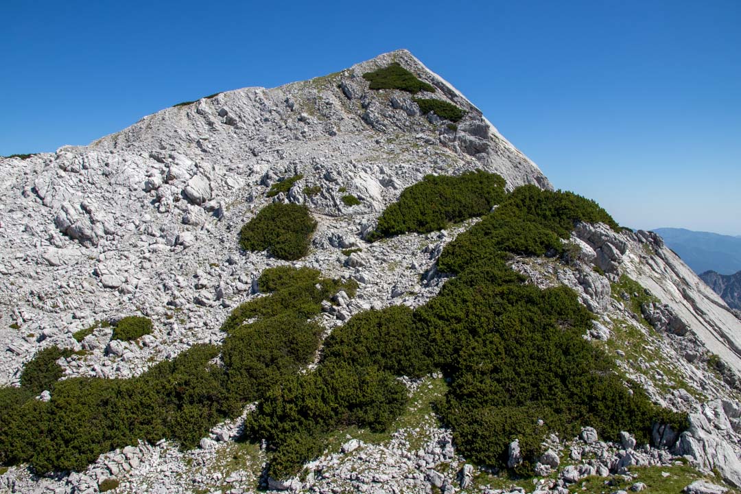 Grieskarsteig - Zwölferkogel