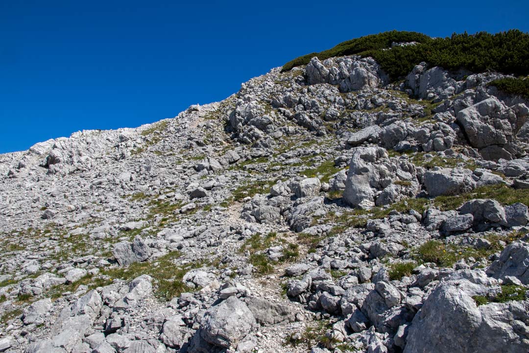 Grieskarsteig - Zwölferkogel