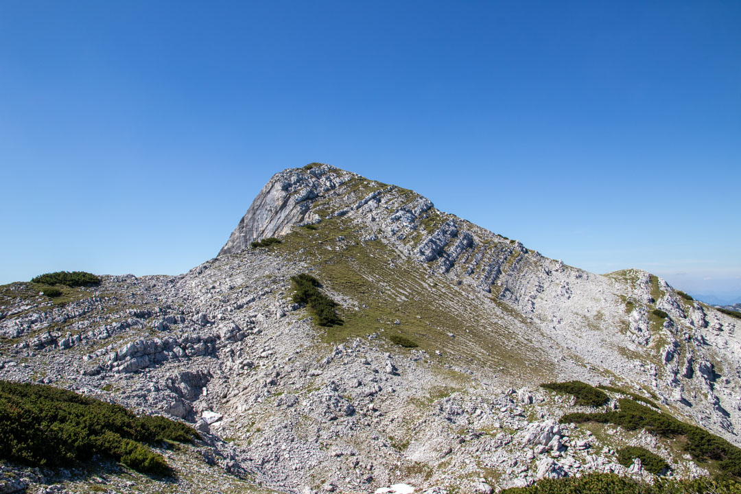 Grieskarsteig - Zwölferkogel