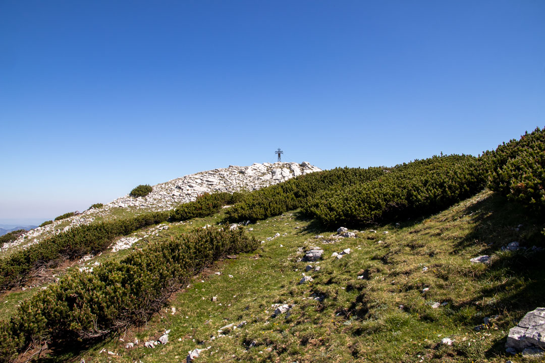 Grieskarsteig - Zwölferkogel