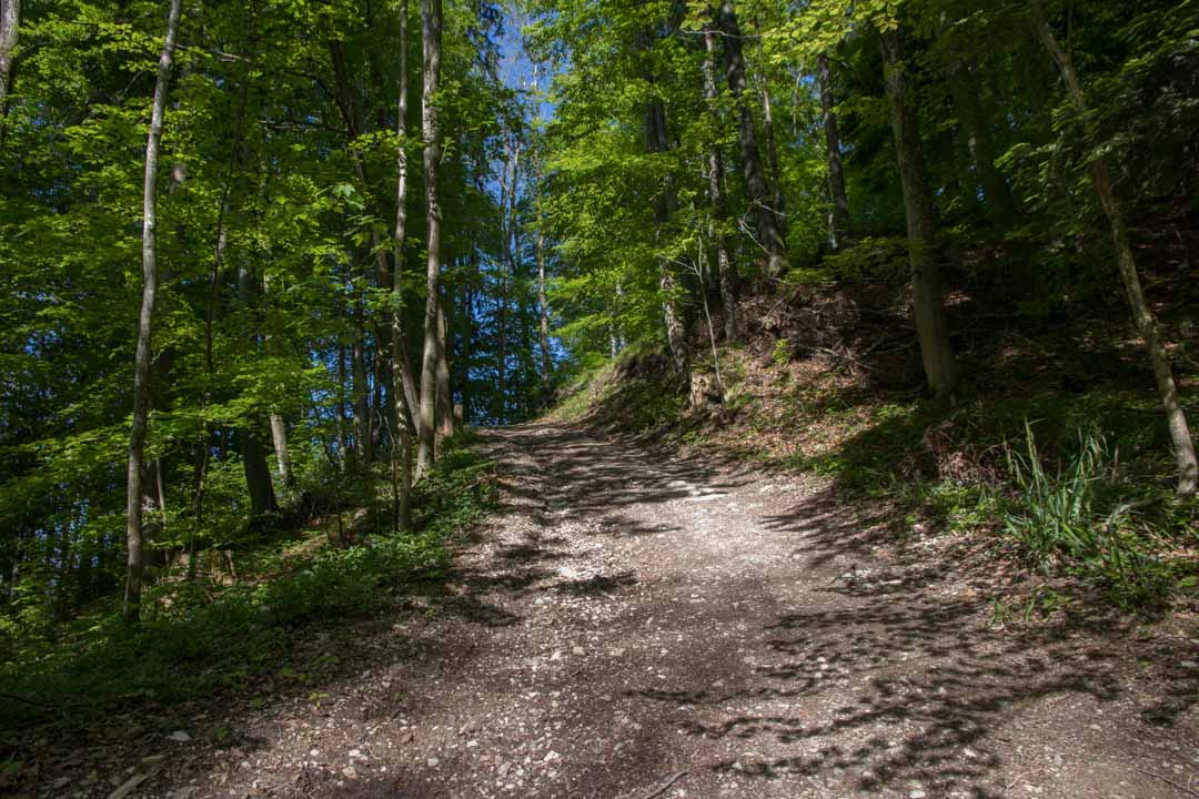 Wanderung auf den Katzenstein (1349m) und auf den kleinen Schönberg (895m)