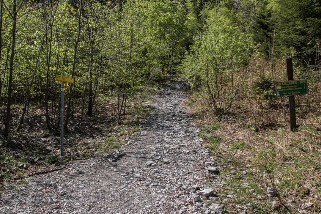 Wanderung auf den Katzenstein (1349m) und auf den kleinen Schönberg (895m)