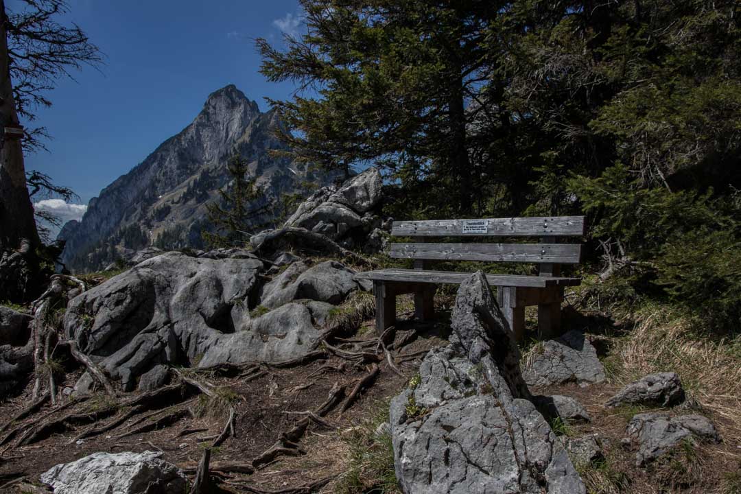 Wanderung auf den Katzenstein (1349m) und auf den kleinen Schönberg (895m)