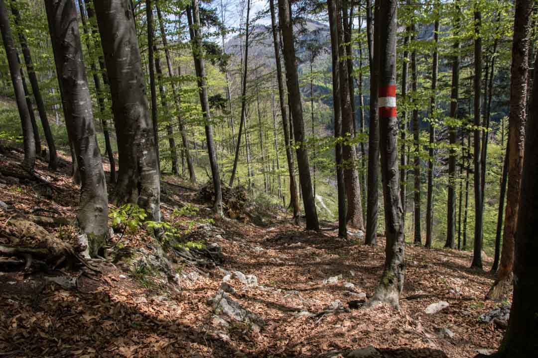 Wanderung auf den Katzenstein (1349m) und auf den kleinen Schönberg (895m)