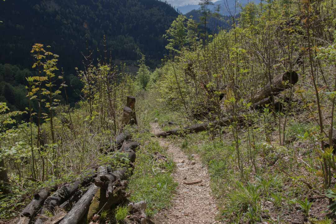 Wanderung auf den Katzenstein (1349m) und auf den kleinen Schönberg (895m)