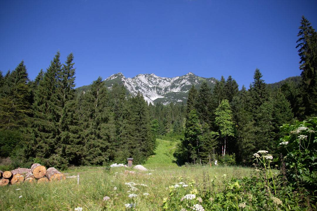 Wanderung auf den Plassen 1953m